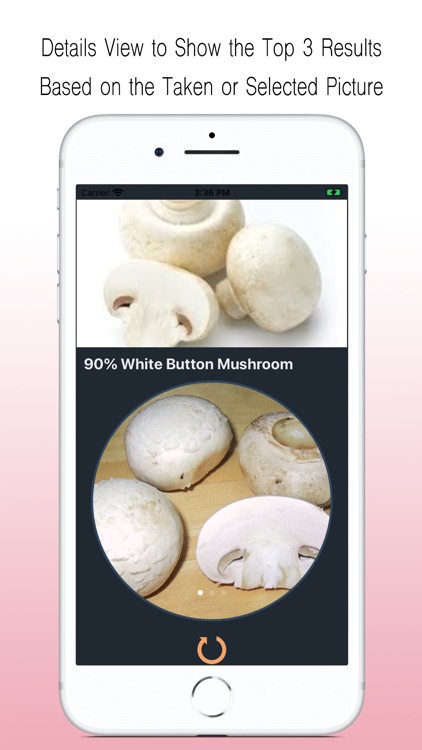 Mushroom Identifier