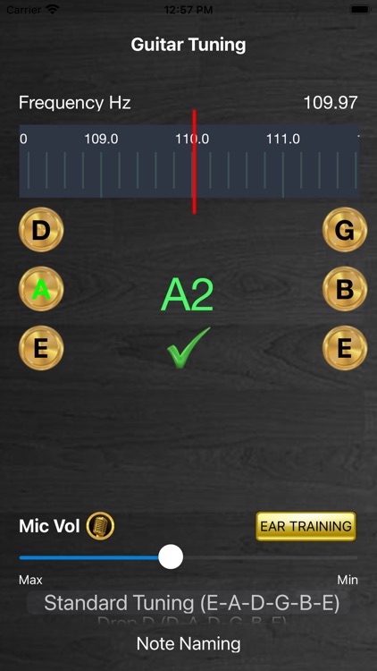 Guitar Tuning Tuner