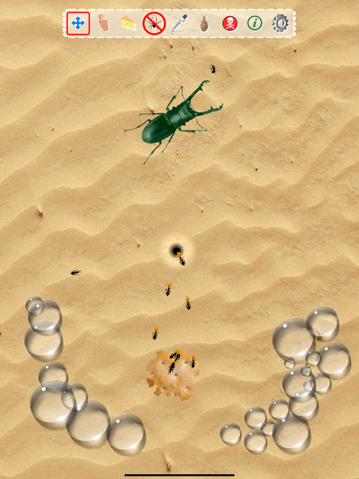 Ant Sandbox