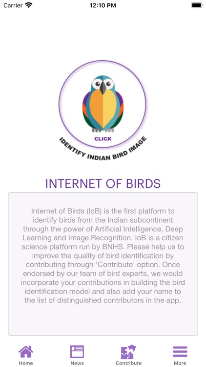 Internet of Birds
