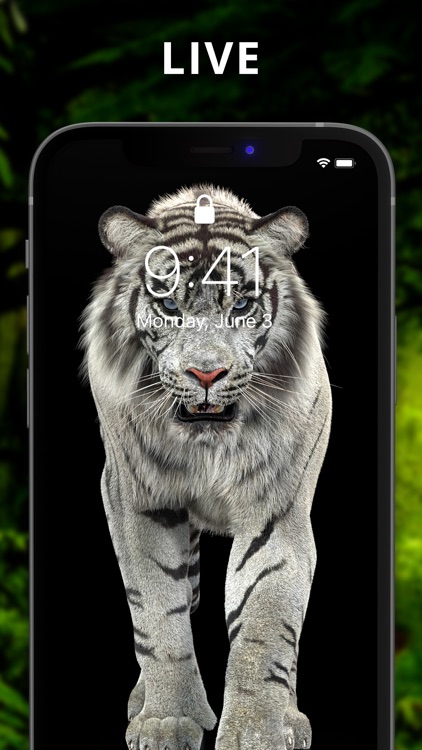 Wallpaper For iPhone LightWave screenshot-0