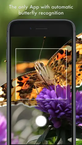 Game screenshot Butterfly Id - UK Field Guide apk