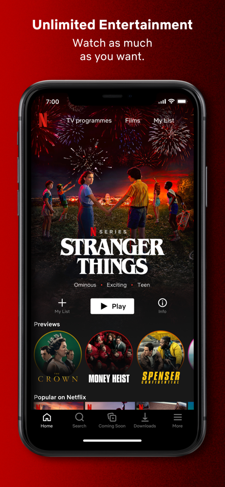 netflix overview apple app store south africa