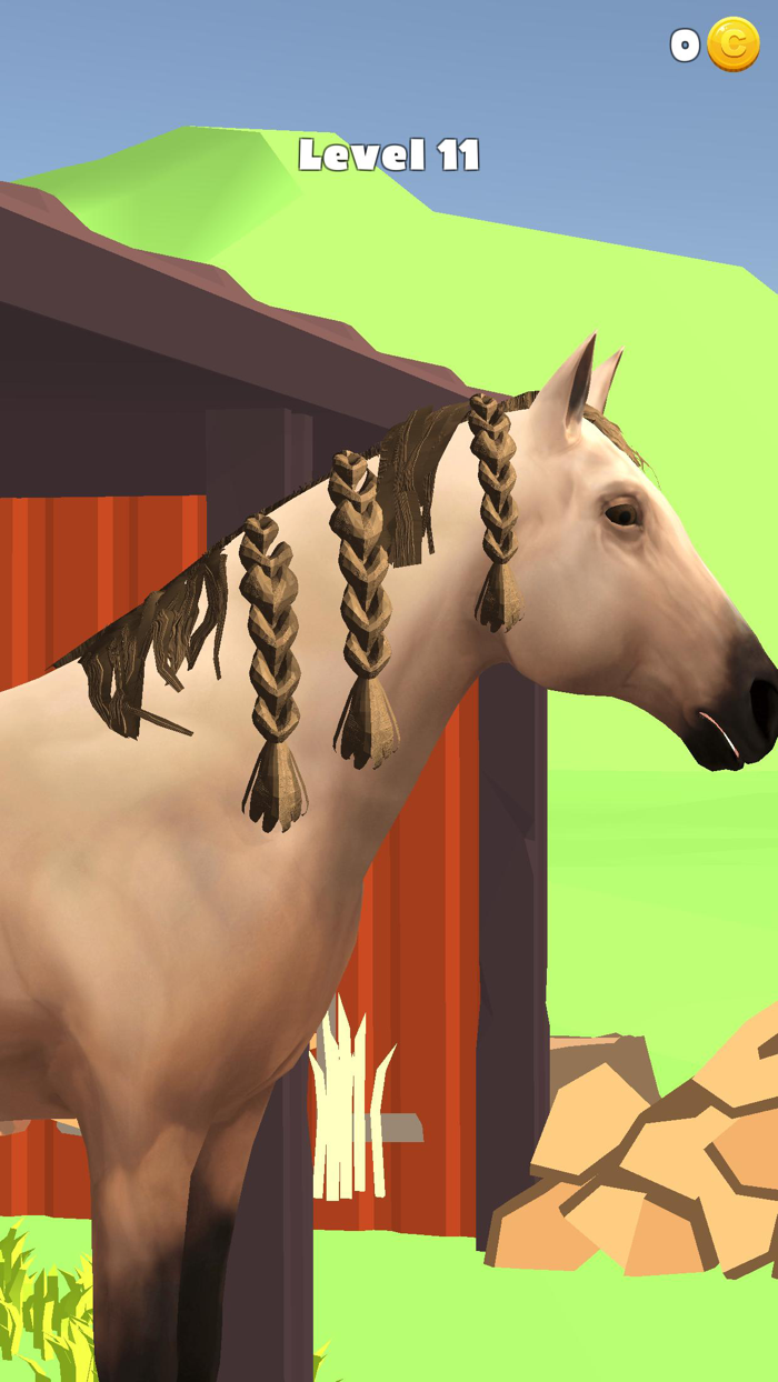 Horse Care 3D