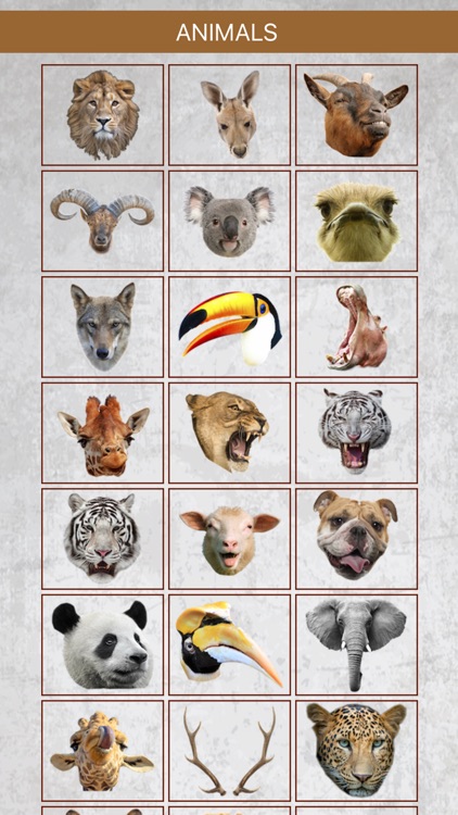 Animal Face Photo Booth screenshot-4
