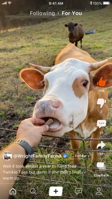Image of Clapper: Video Community