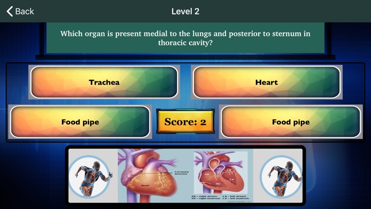 Human Anatomy and Physiology screenshot-4