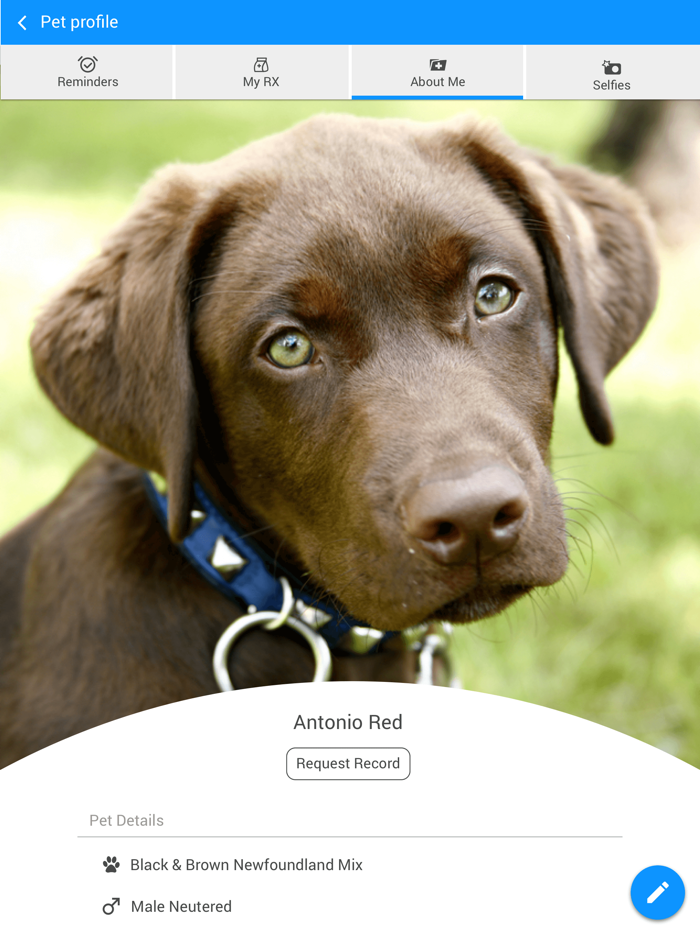 Oak Knoll Vet Moline