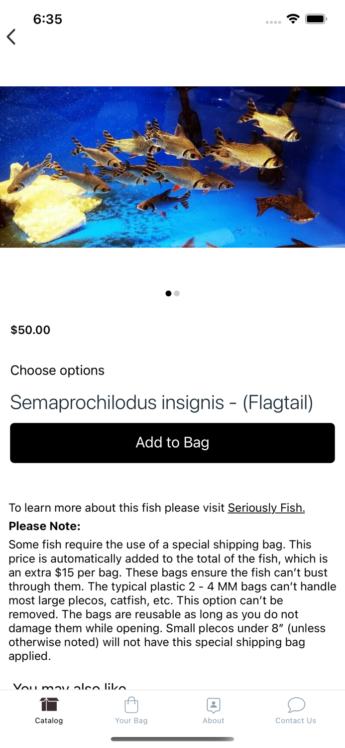 Jasons Plecos  Cichlids LLC