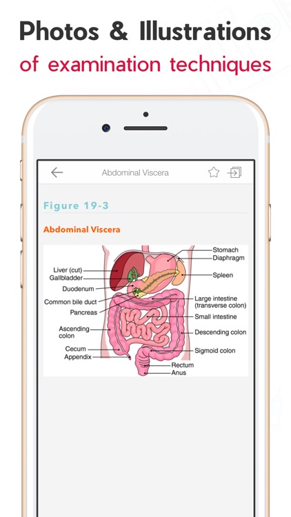 Nurses' HBK Health Assessment screenshot-7