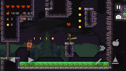 Screenshot from Apple Knight