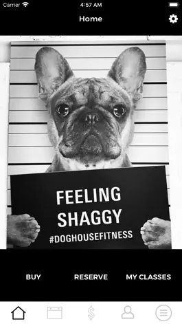 Game screenshot DOG HOUSE FITNESS mod apk