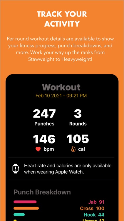 PunchIt Workout