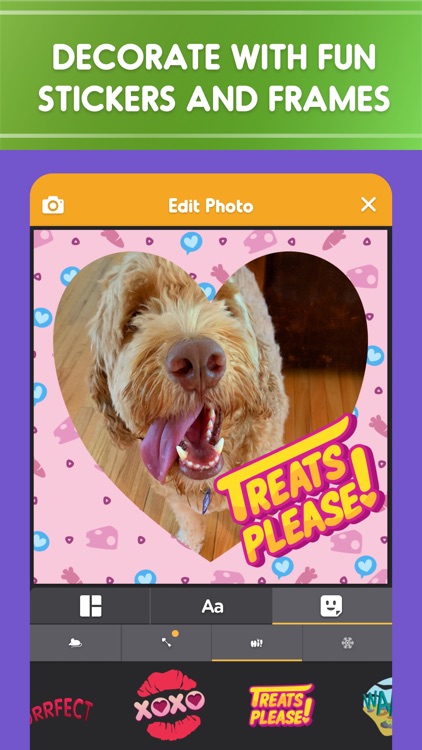 Pet Parade: Dogs & Cats Games screenshot-5