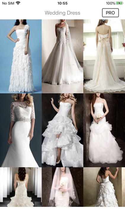 Bride Wedding Dress Designs