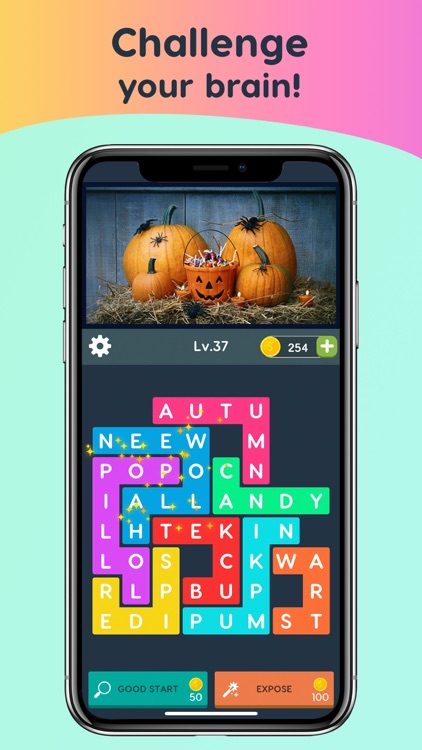 Word Search Pics - Puzzle Game