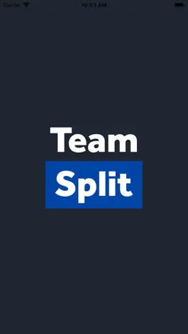 Game screenshot Team Split PRO mod apk