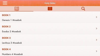 Norwegian Holy Bible - Bibelen på Norsk Screenshot 6