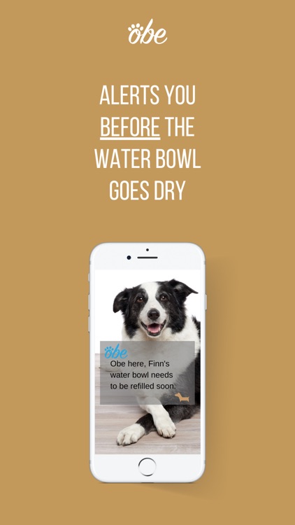 Obe Digital Dog Wellness screenshot-6