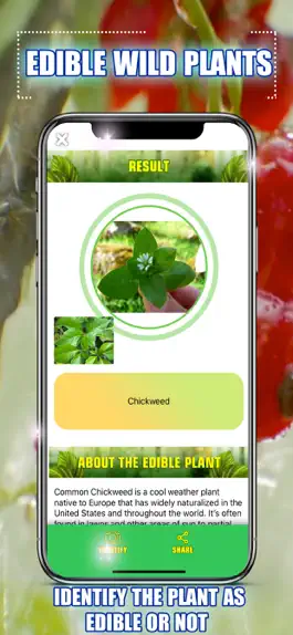 Game screenshot Edible Wild Plants hack