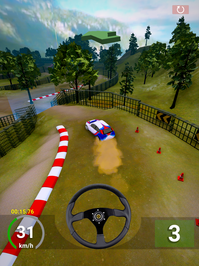 RallyMaster 3D