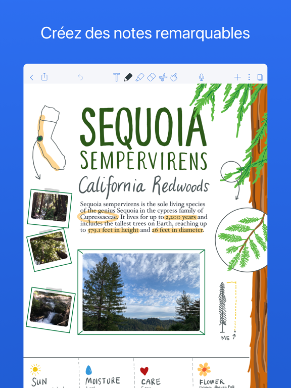 Notability Notability