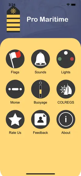 Game screenshot Pro Maritime mod apk