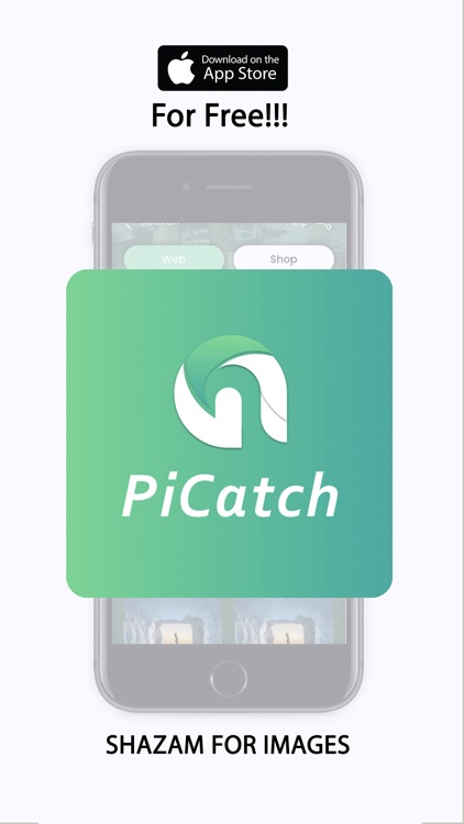 PiCatch screenshot-4