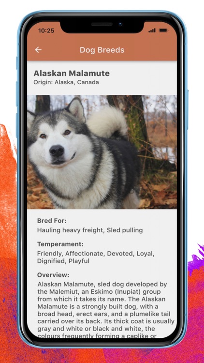 Doginder - Dog Encyclopedia