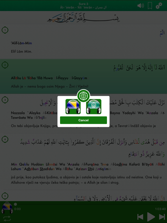 Quran Audio: Bosnian, Arabic screenshot 4