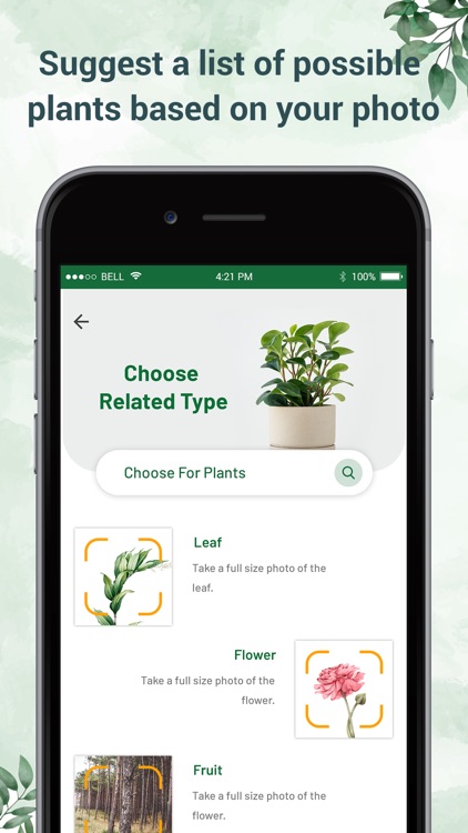 Plant Identifier - Plant ID