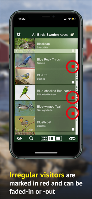 All Birds Sweden - Photo Guide(圖6)-速報App