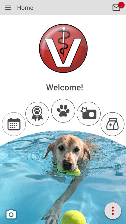 vac animal hospital