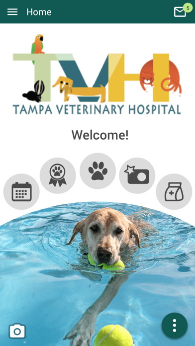 How to cancel & delete Tampa Veterinary Hospital from iphone & ipad 1