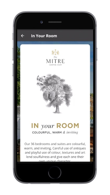 The Mitre screenshot-3