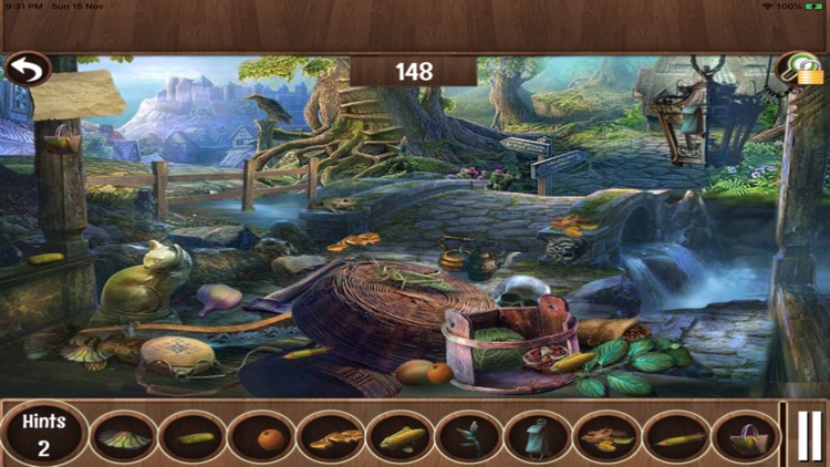 Forest Queen Hidden Objects