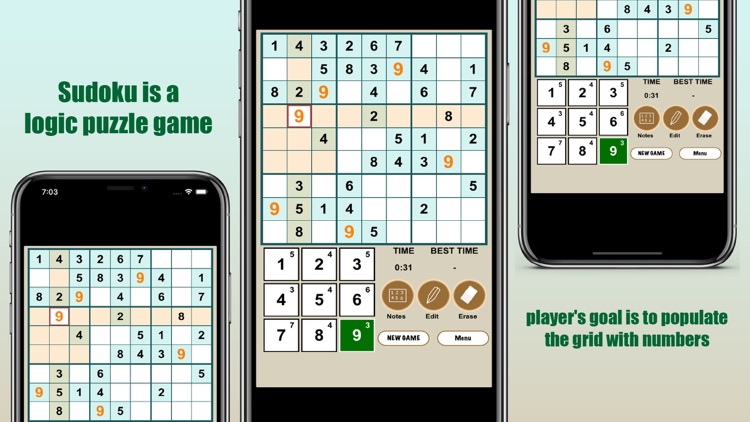 Number Sudoku Puzzle