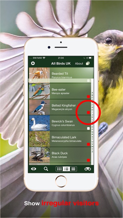 All Birds UK - the Photo Guide screenshot-4