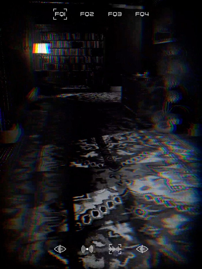 Spirit Realm Scanner EVP EMF