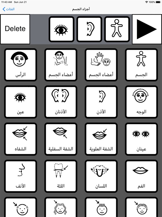 Arabic Makaton Choice Board screenshot-4