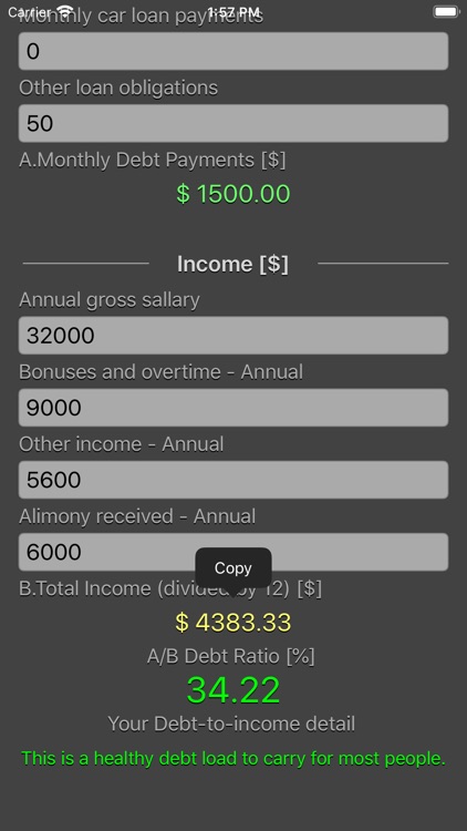 Debt 2 Income Calculator screenshot-3
