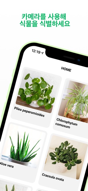 App Store에서 제공하는 Plant Id - 식물을 식별합니다