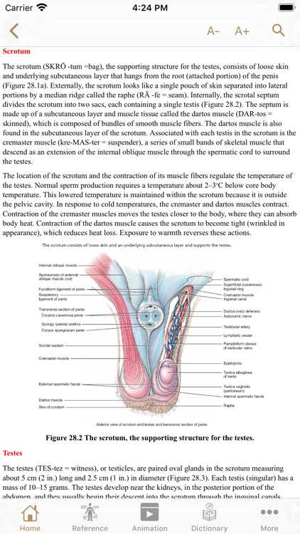 Fundamental Physiology screenshot-3