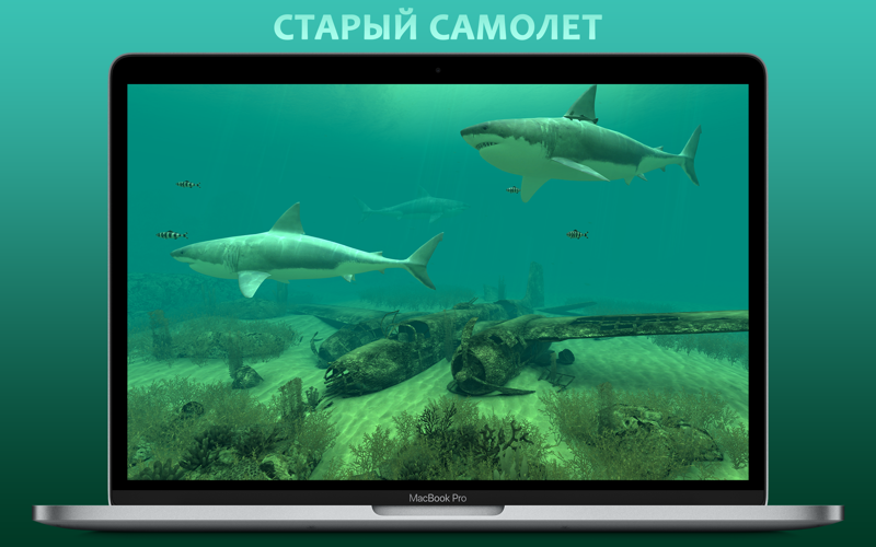 Скриншот из Sharks 3D