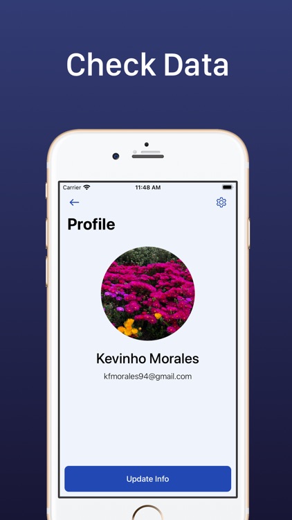 Courier Travel: Make Money