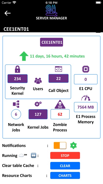 E1 Server Manager screenshot-3