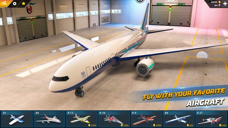 Airplane Pilot Flight screenshot-0