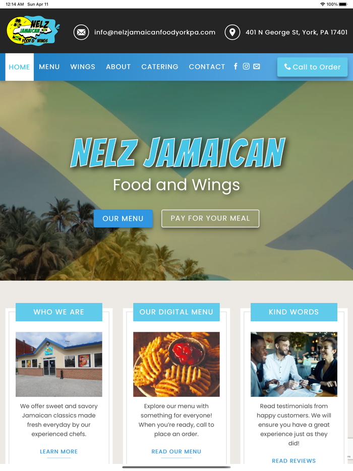 Nelz Jamaican Food  Wings
