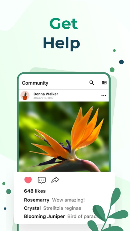 PictureThis - Plant Identifier screenshot-6