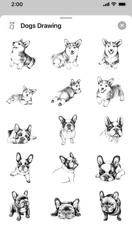 Dogs Drawing screenshot-3
